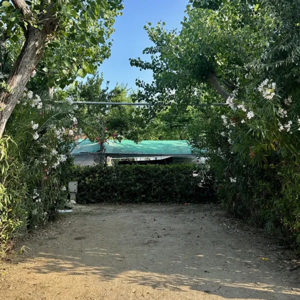 camping carouan abruzzo spazio camper