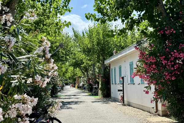 camping carouan abruzzo viale bungalow