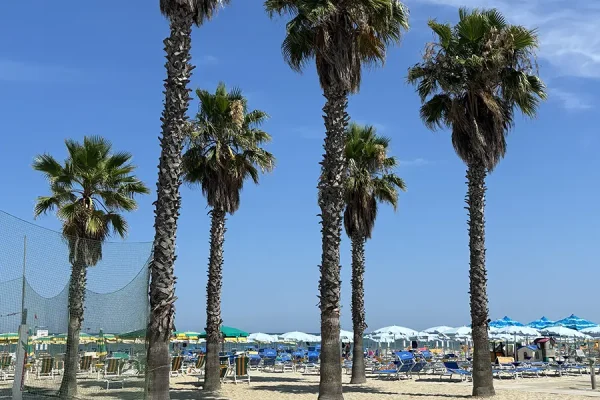 camping carouan spiaggia abruzzo